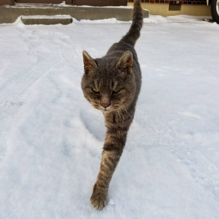 9e7a2565 e5e7 4395 9901 7733e535346c 1513928178505