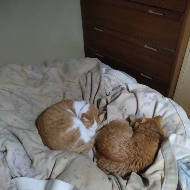 9e7a326d 515c 4441 9aac d3746e0e031e 1765174088097