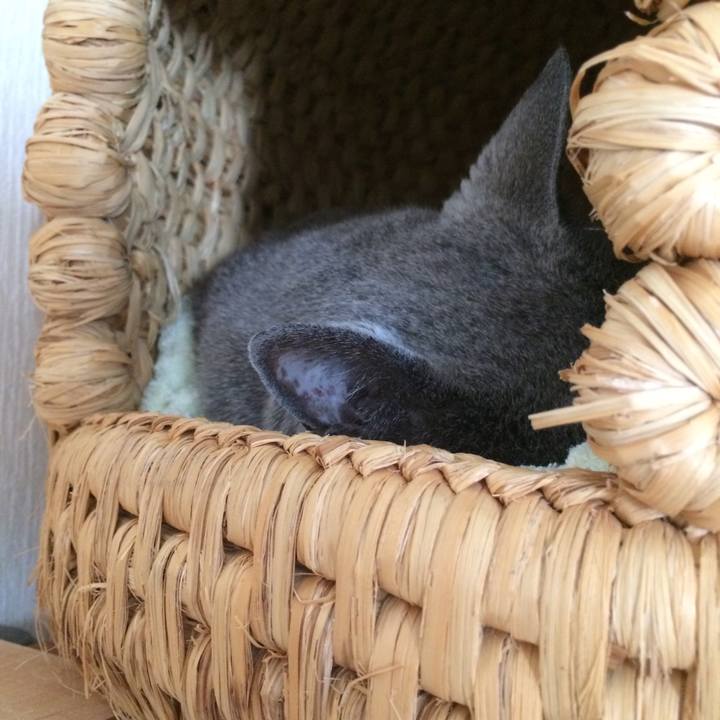 9e7a4a1f 6879 47d9 820b 2fed3ac4db6d 1528152268839