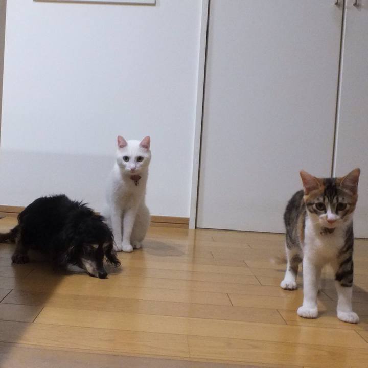 9e7a4f92 c9fa 418e a5ed 6362819a245f 1631686473559