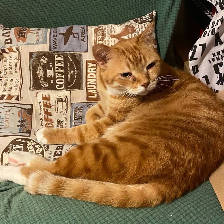 9e7a85c5 1c26 497e 8c62 6c4d7cfd41c4 1620038938734