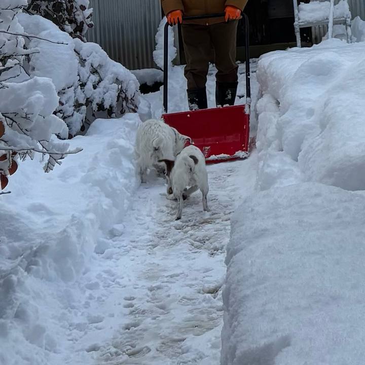 9e7ab44c d209 4e89 b362 1c9febb7e504 1767398180474