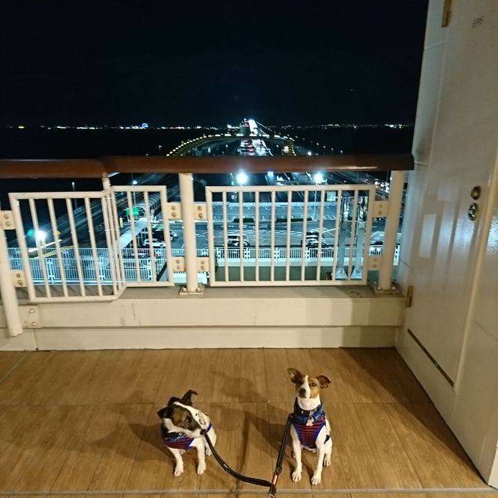 9e7abc19 eccd 4a99 acbe 8c1ebfe3bcab 1542974535780