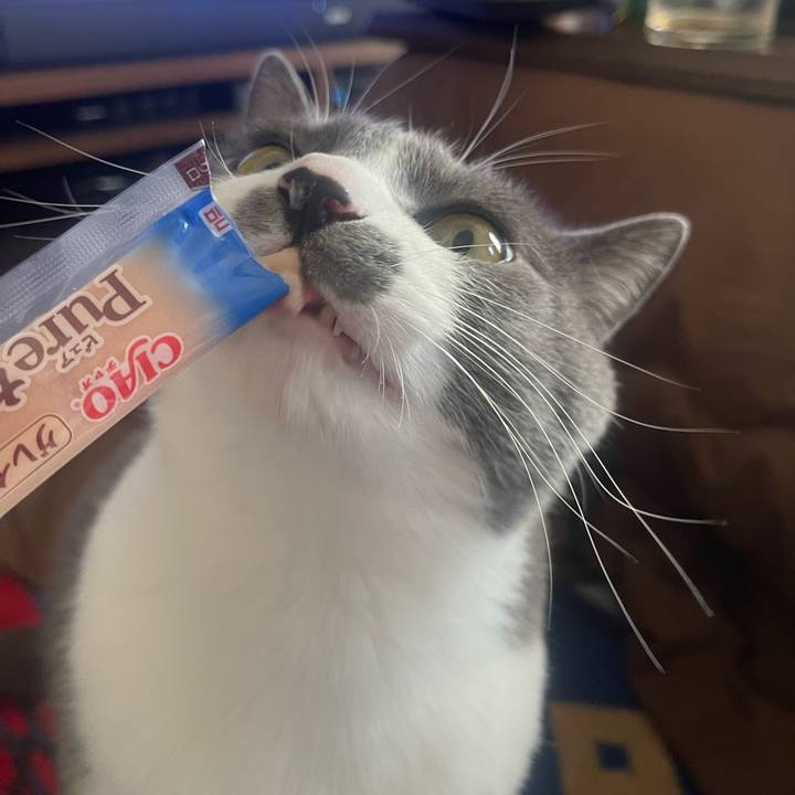 9e7ad139 ded2 4794 9ac1 4d049d3ccdb7 1673419065865