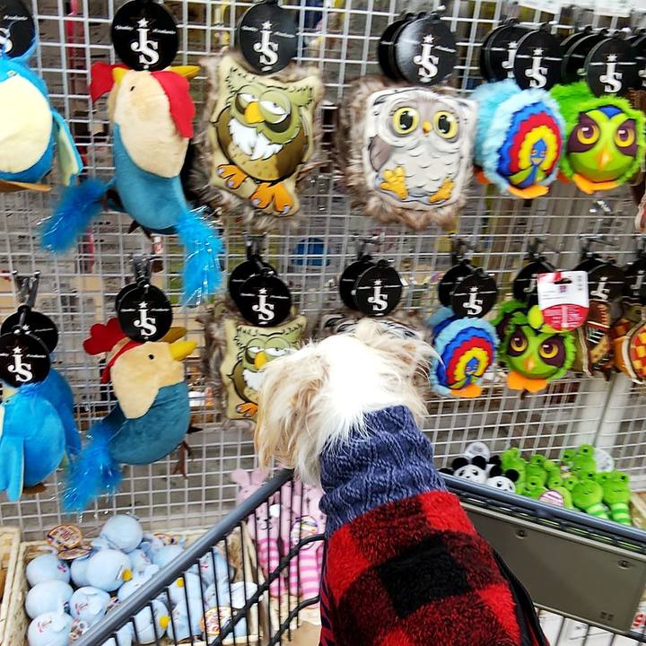 9e7ad8c9 a8d7 4696 9661 d60cca08162b 1544944291757