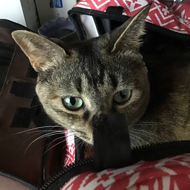 9e7ae705 2dcc 4214 aa05 fd51df2386b4 1686737214520