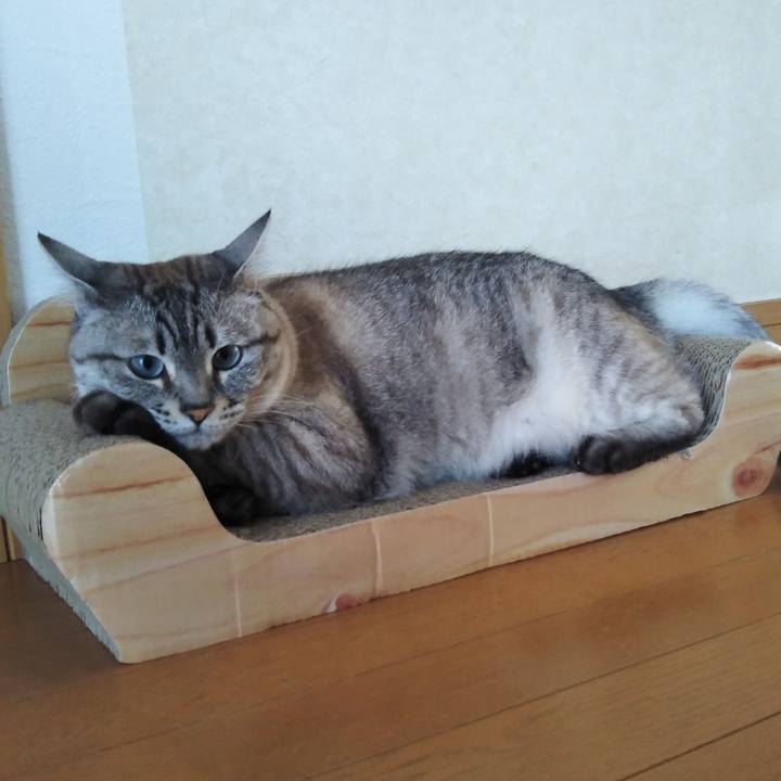 9e7afa08 a914 401f b190 731e2c5eae59 1624156997937