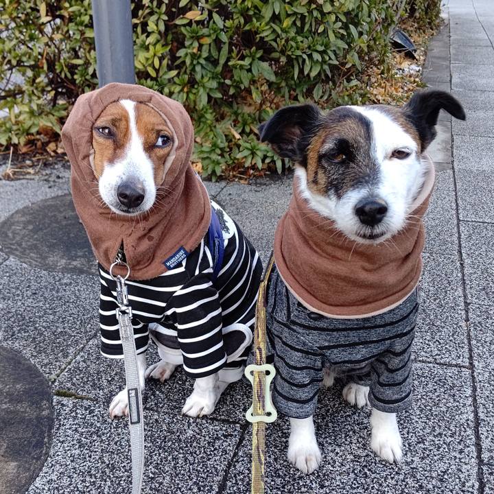 9e7afdf9 08a2 4084 98e4 6e49a2b1162f 1644539477349