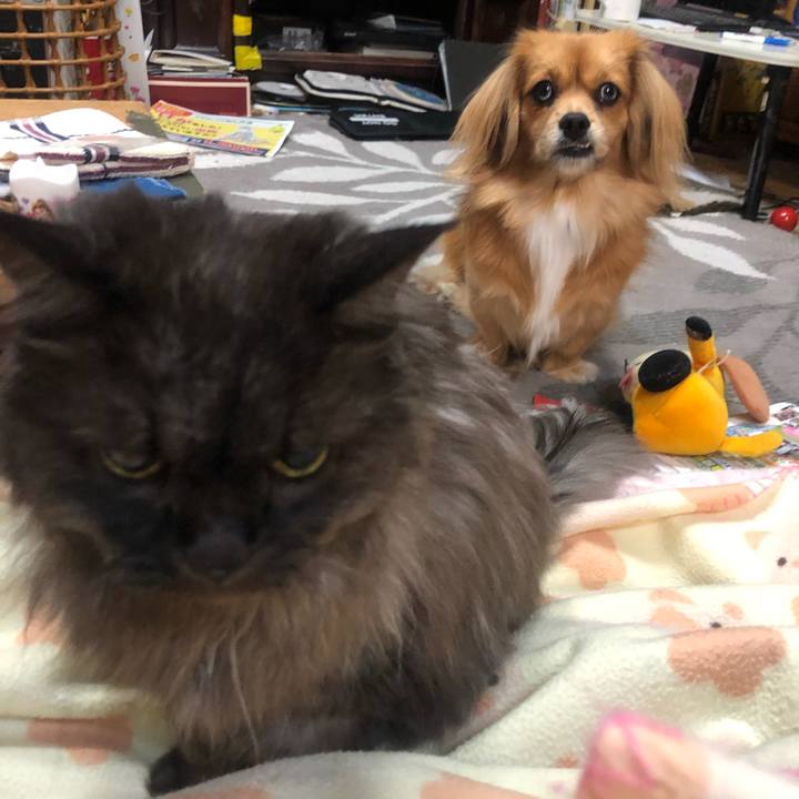 9e7b274b 8238 4348 a6b3 d09f796e43bf 1541248326037