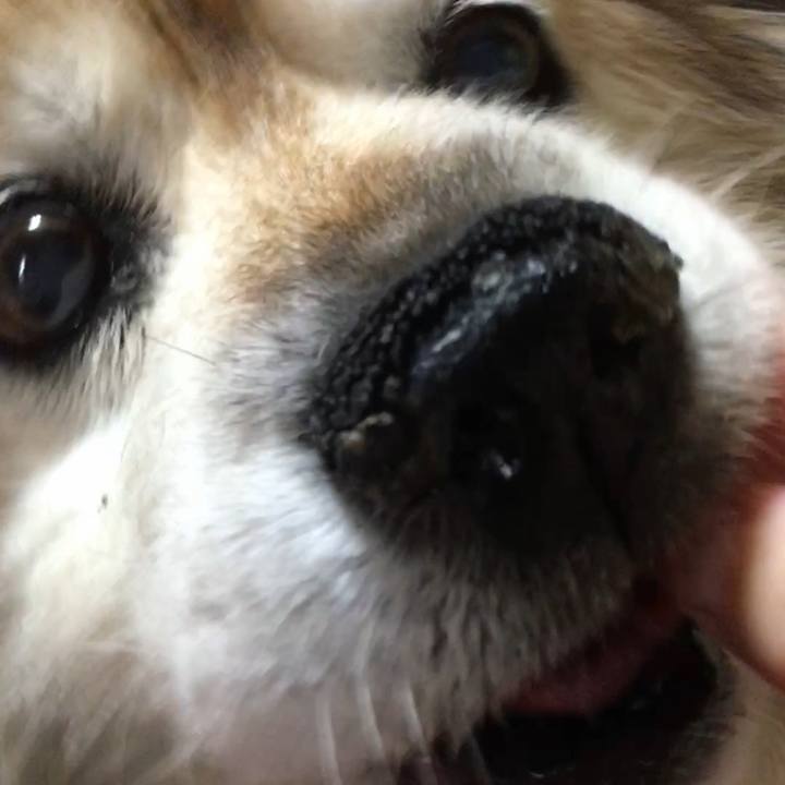 9e7b463e 0d2f 4d98 afe6 ae81d5a9ab41 1590221589285