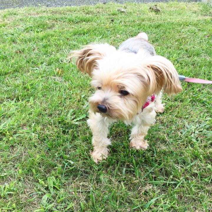 9e7b4ec8 4927 49d5 9f8c bf0fd643b79c 1535537158595