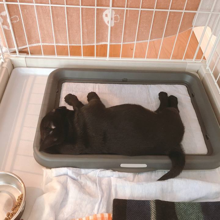 9e7b5401 20a3 44f1 83c9 6ff7139e7d5c 1586750872418