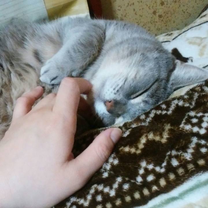 9e7b8324 4b39 493e aef4 9dc3945b2c06 1551595392720