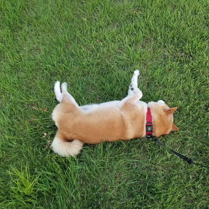 9e7b95b3 8d3a 4546 b2b4 df4d070f0072 1723626291580