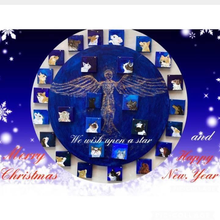 9e7ba9cd 5b15 4248 b42e 47a6ec593acd 1671759340836