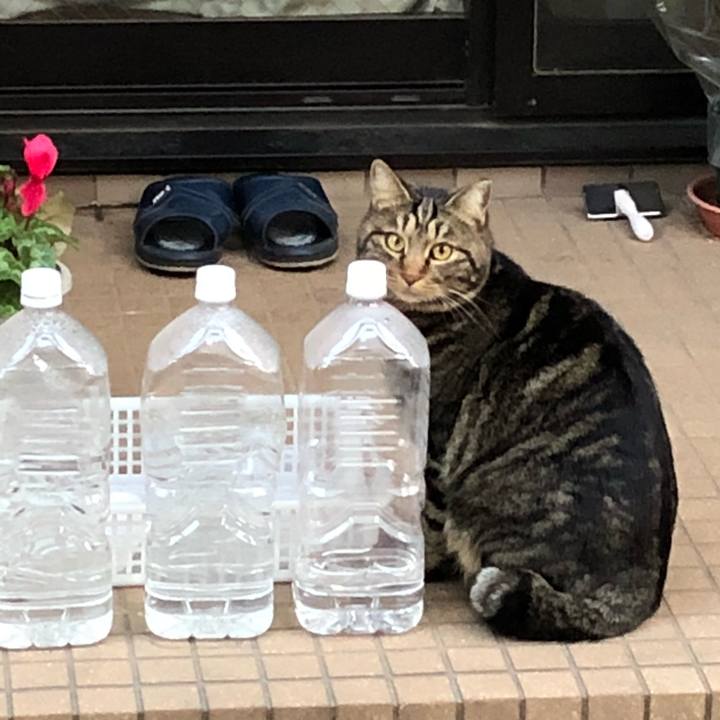 9e7bcf70 349c 417b 949f abeaa28496da 1516531153614