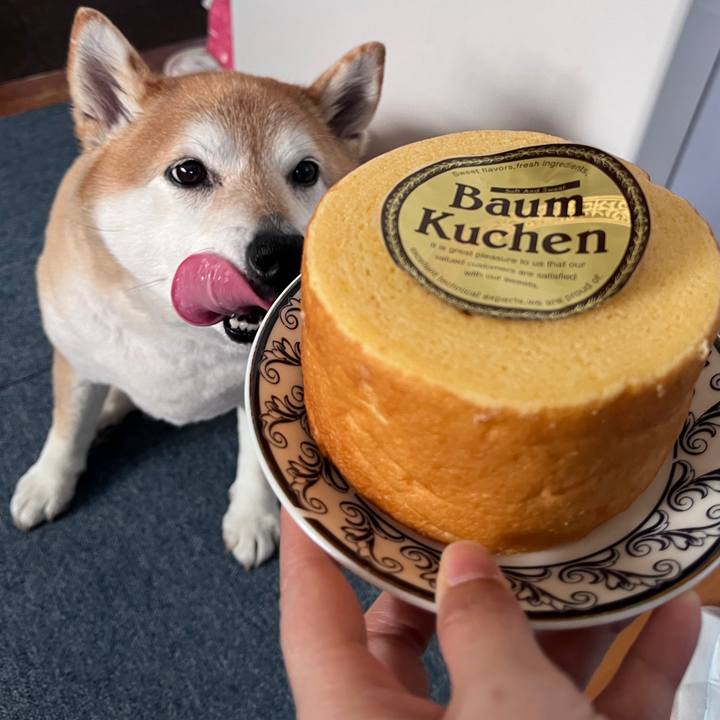 9e7be5ee cd58 4722 bee2 ce4ab9da13b6 1713504896251