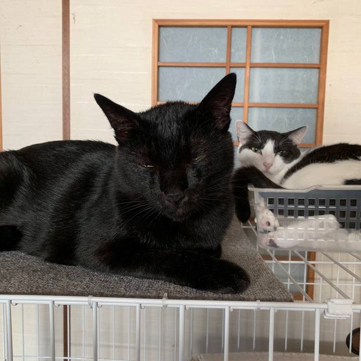 9e7be847 2c4c 45a3 a76e de3756e49201 1568250623275