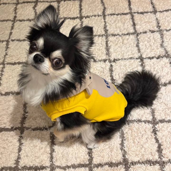 9e7beadb 3f2d 4c50 a0cb 29dd95271d8b 1743265914365