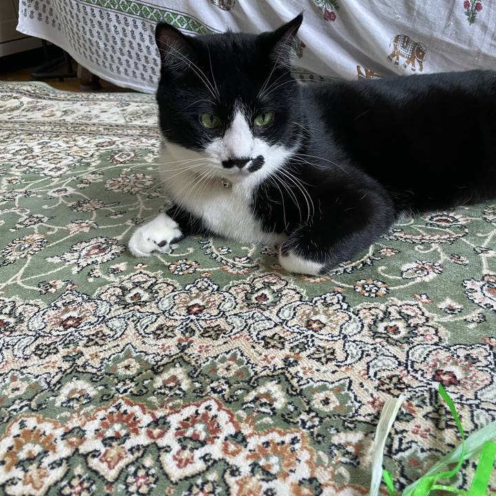 9e7bf121 ddd2 4c71 8e4f 1ef3f403b8a5 1697084811484