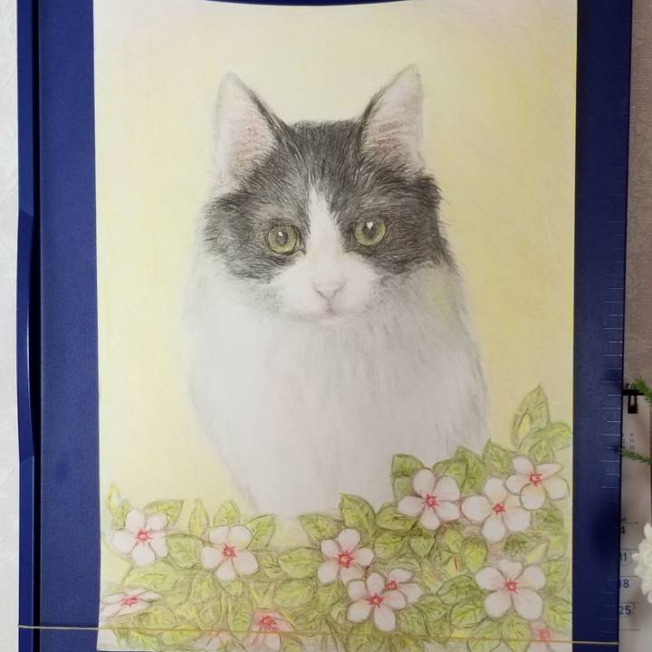 9e7c2377 28b3 429a b0fd 34600261a7d9 1596354388082