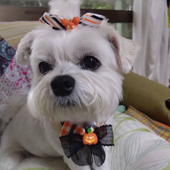 9e7c5b78 5dfd 41d5 9d52 b86b60b0ae6c 1694175255096