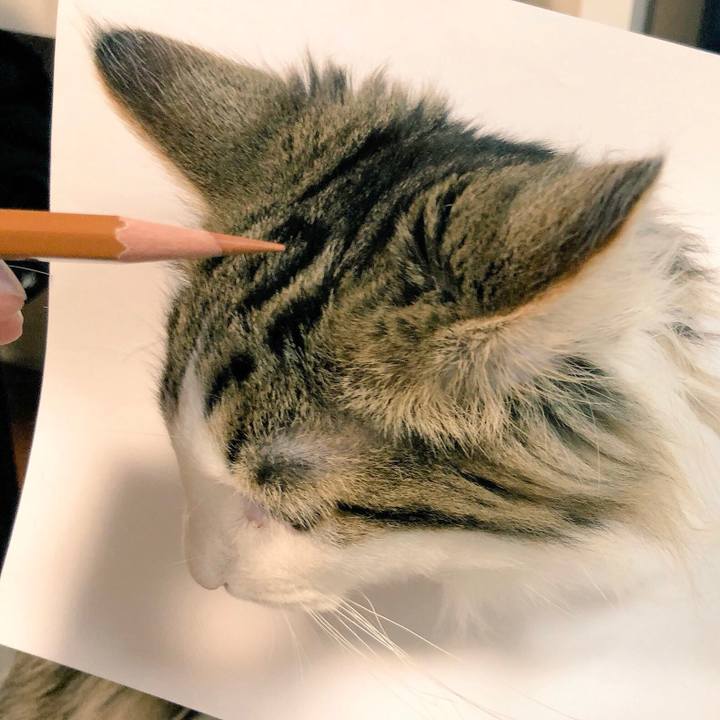 9e7cf93d 1c46 4aaf ab3c 58a8e8816743 1523275301400