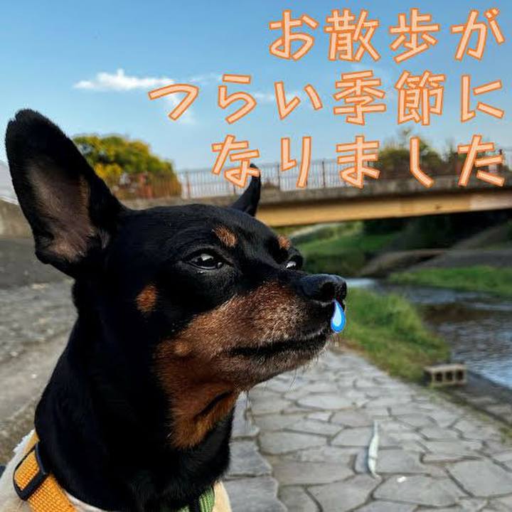 9e7d0f26 6303 44cd 9fca 29b2ffe50f55 1702421325666