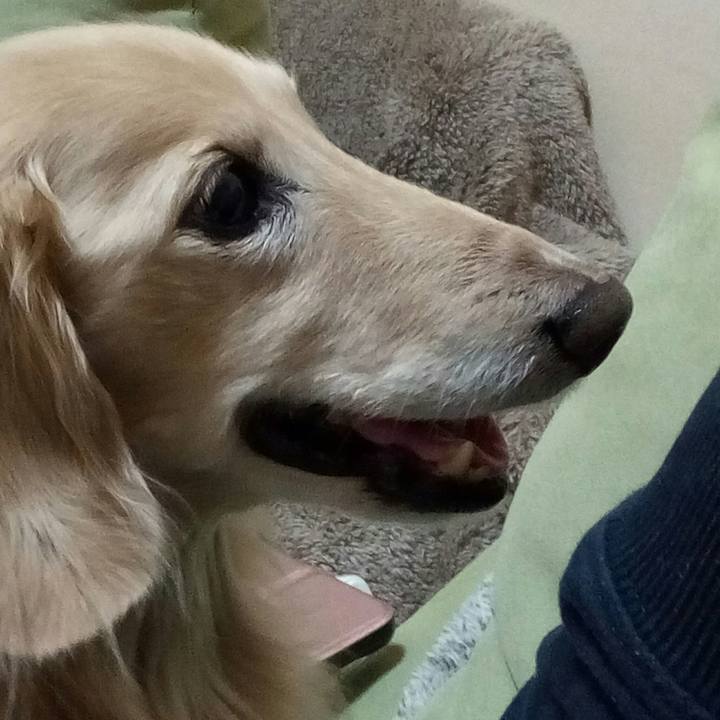 9e7d180d f045 40a9 b86c d1d4ec5d8fec 1566310830450