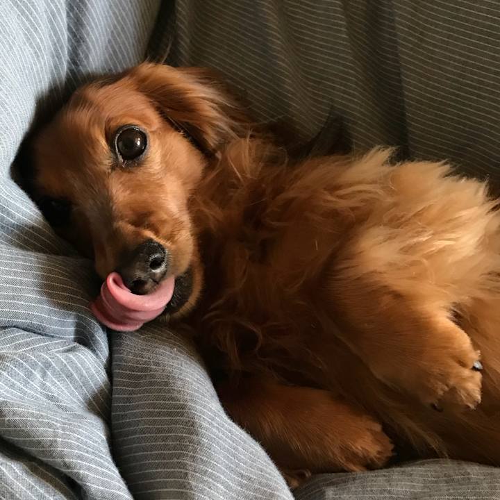 9e7d5f38 c3d4 444e b7eb e3a3e2289892 1514634150101