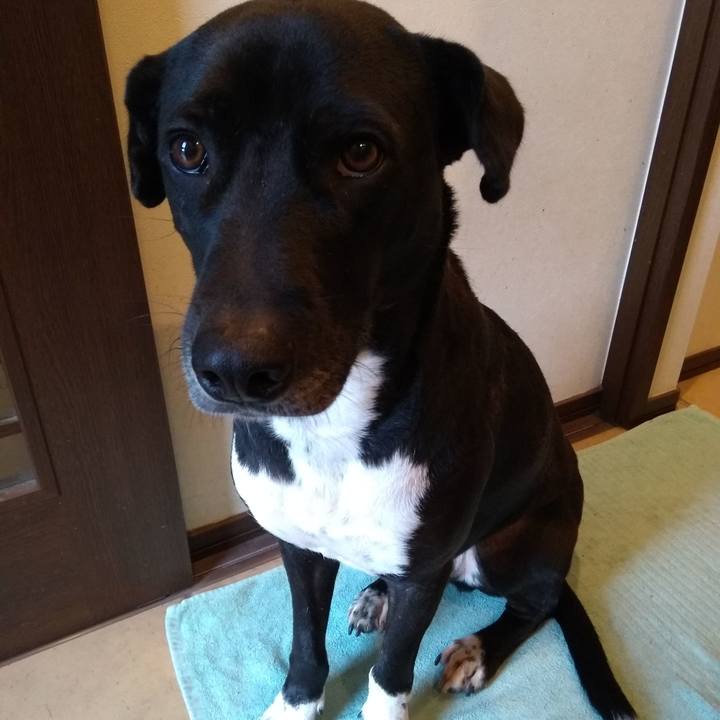 9e7d6602 7697 4745 87fd e88e970cfecd 1608893923011