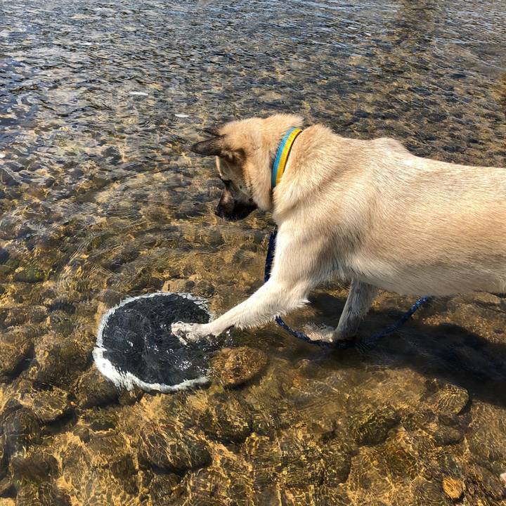 9e7d669e e07e 43c0 8f46 dbc0dde21bc0 1535859117302