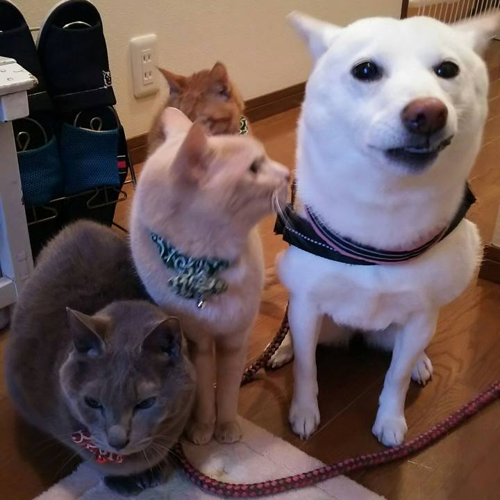 9e7d837b 243e 43eb 8903 18afd5004e49 1521622505480