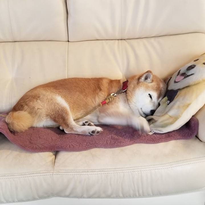 9e7d992b 77ce 4035 8efb 0433ff758ca5 1733009179946