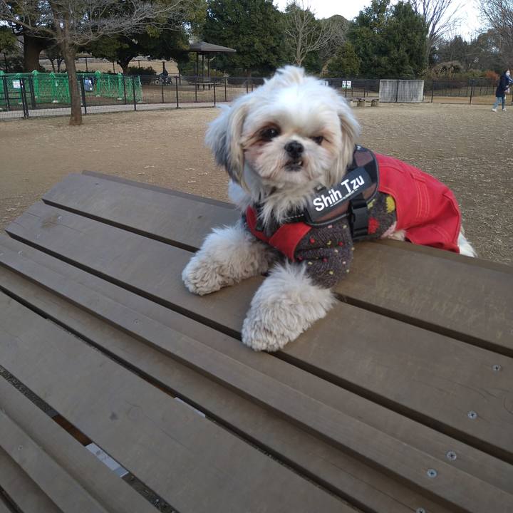 9e7da216 8a25 4b84 9fe8 ddd86bc205b3 1608875627363