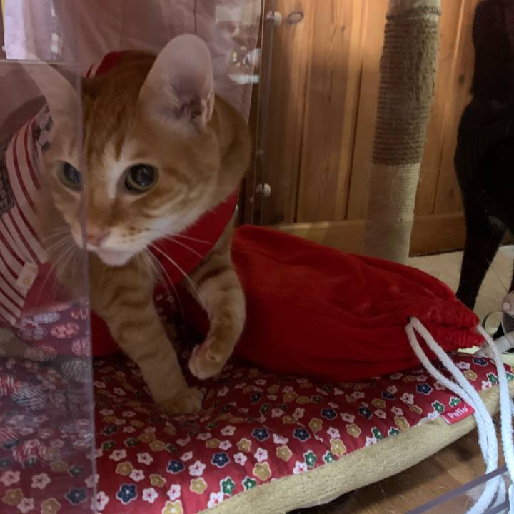 9e7da86a b95b 4c00 9971 eb81052b4819 1579171389083