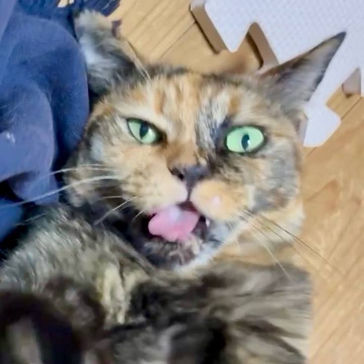 9e7dddf7 cab8 470b 94f7 92c0591b9307 1753263301951