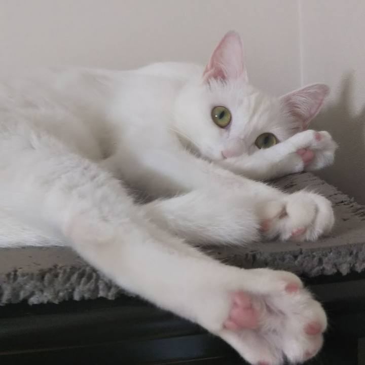 9e7deb0b 6467 4804 8cd9 03cc1250fe84 1627735680813