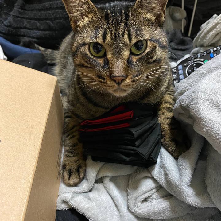 9e7e0355 ba18 43df a7e3 22612da30e47 1618410633044