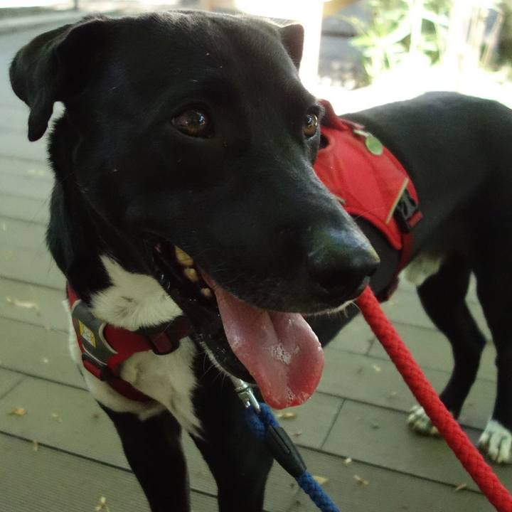 9e7e121a c537 4eb7 87f6 5c7b22bfcbe5 1590712341937