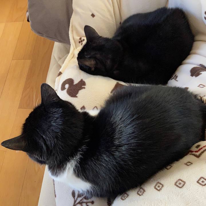 9e7e3002 8b5c 4091 b72b 88a584af357c 1637974611397