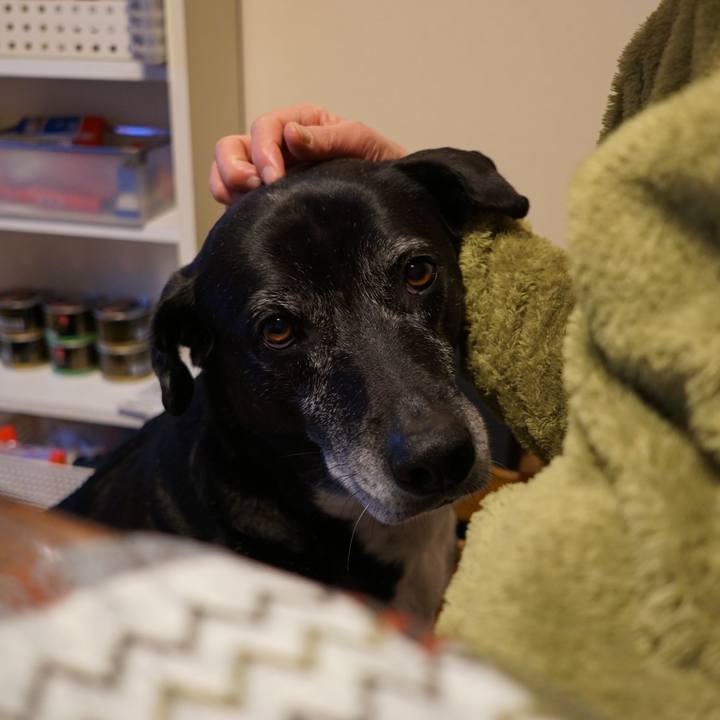 9e7e38e6 e0f7 4053 8433 8cd8b442862e 1773537421777