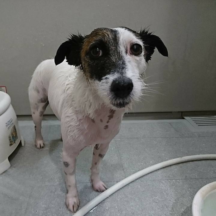 9e7e3e35 9202 49c8 9722 397f4aab6869 1588850526885