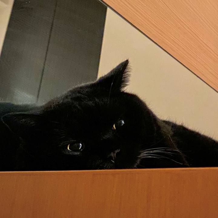 9e7e5451 2082 4323 940d e99098c0b7d4 1756385084266