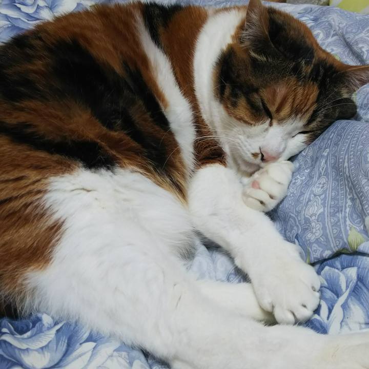 9e7e8ef1 701e 4b39 b195 c6d9c93f54ad 1543726740523