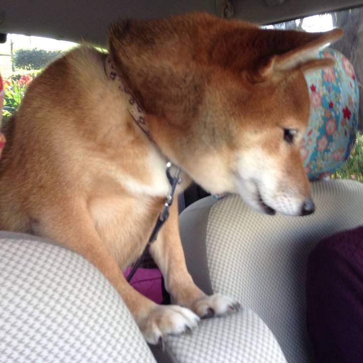 9e7ea5a4 3b56 4274 a49b eb00d9399b8a 1509611985973