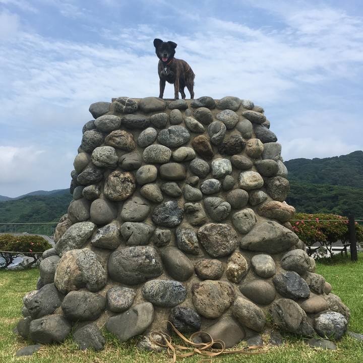 9e7ea5e5 d346 4050 b291 ddee8f12576e 1530235530341