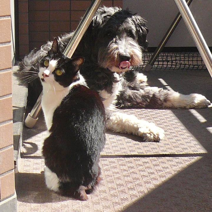 9e7eac75 8cd8 401f 9074 305e25810c2c 1615723089907