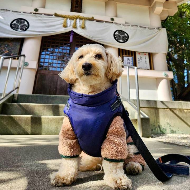 9e7f0b88 0aff 45d8 81eb 94886355e10d 1769401634726