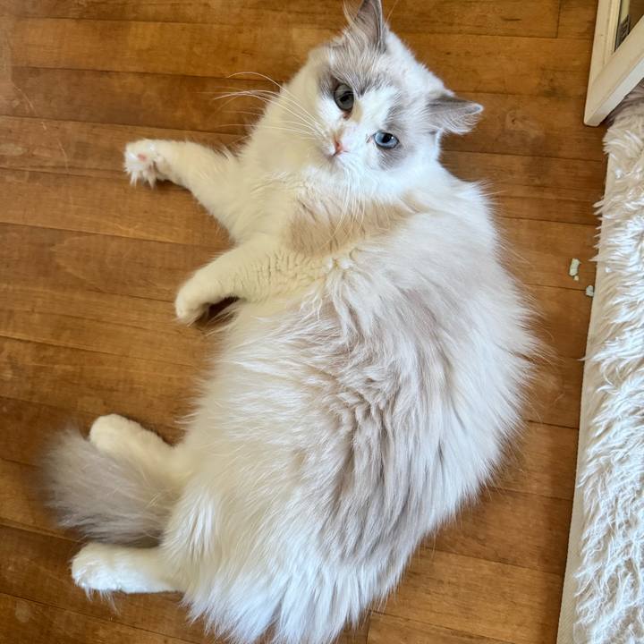 9e7f3b41 8590 4821 8eb7 49994506fed6 1758841009966